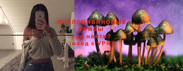 стафф Богданович